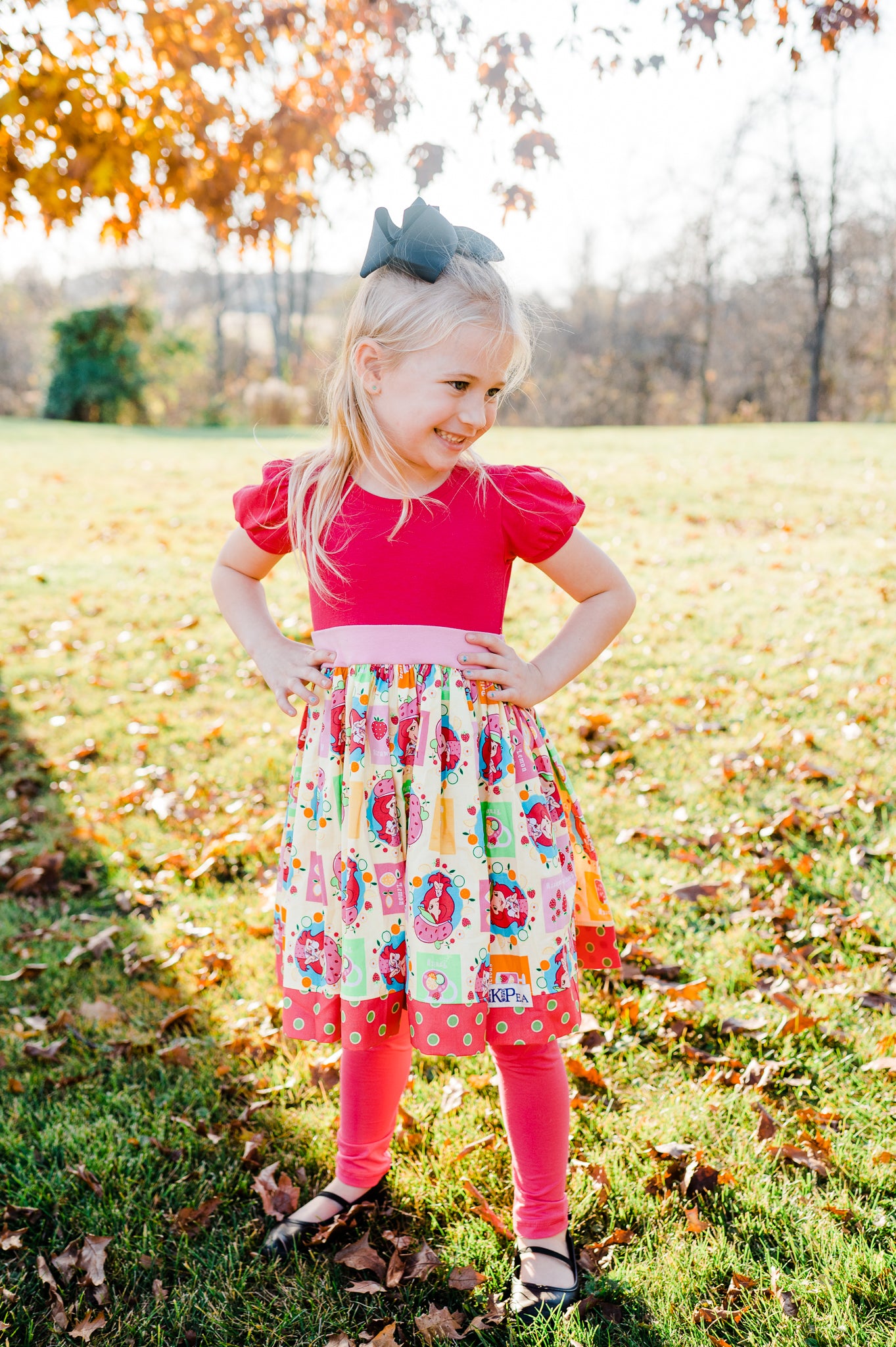 Strawberry Picnic Puff sleeve Dress