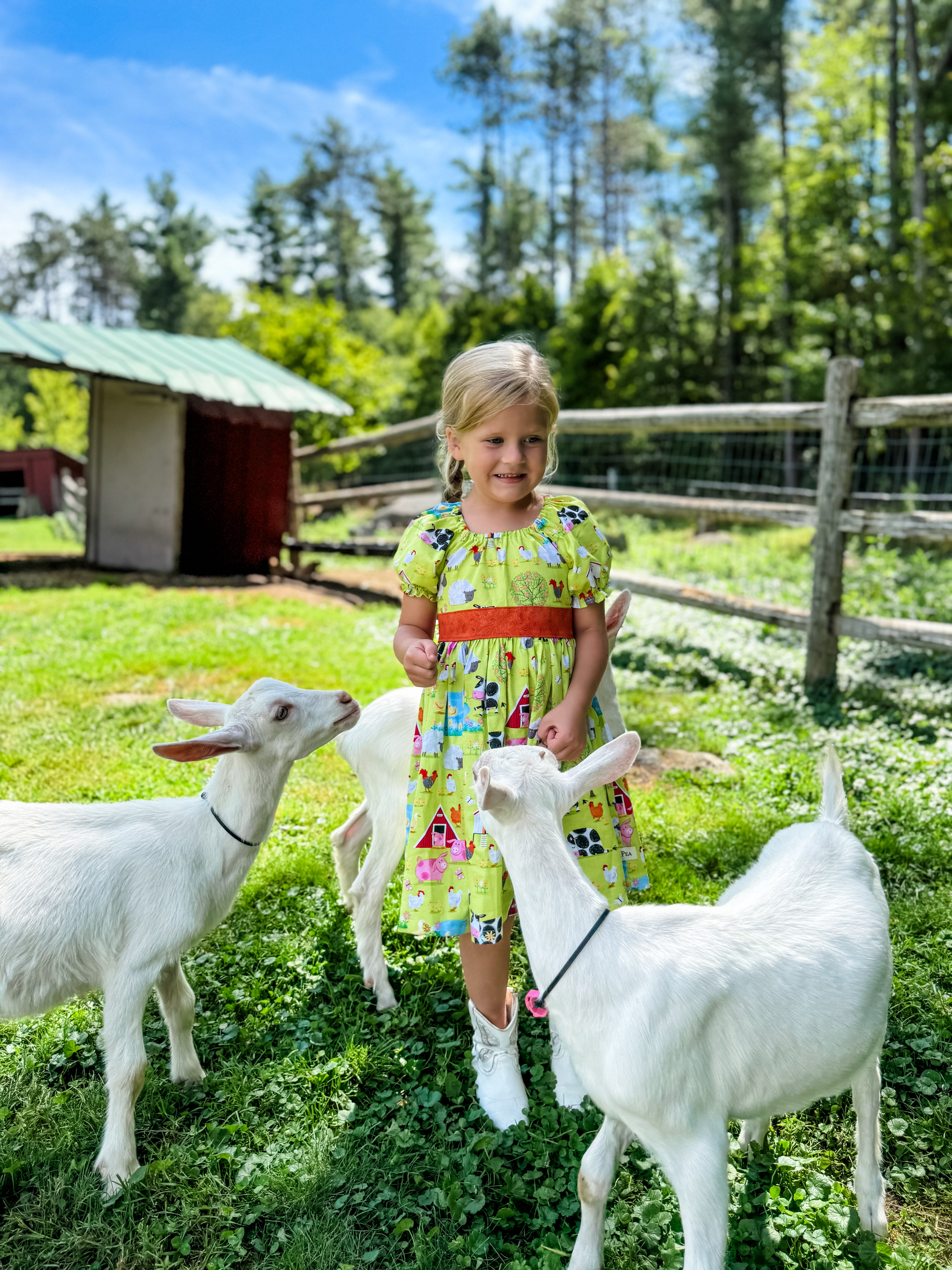 Farm Living Puff Sleeved Twirl dress (ships in 2 weeks)