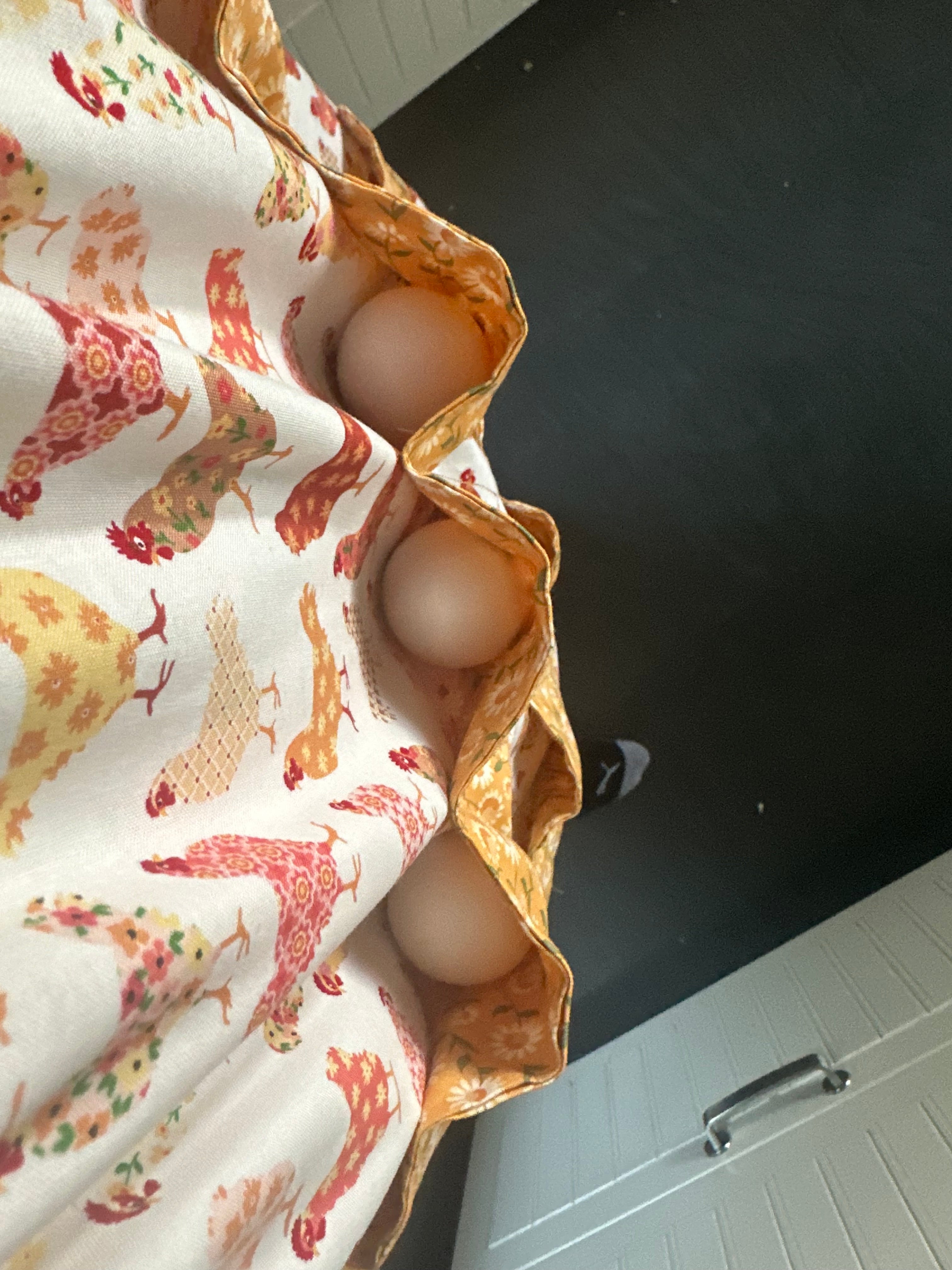Hens in the Hen House Egg Collecting Apron (ships in 2 weeks)