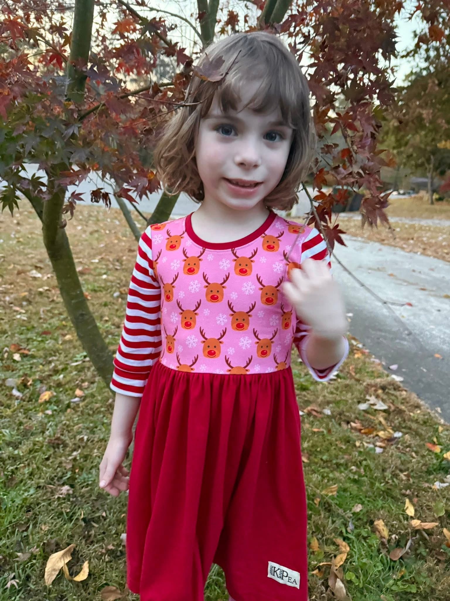 The Most Famous Reindeer Sarah 3/4 Sleeve Lap Dress (ships in 2 weeks)