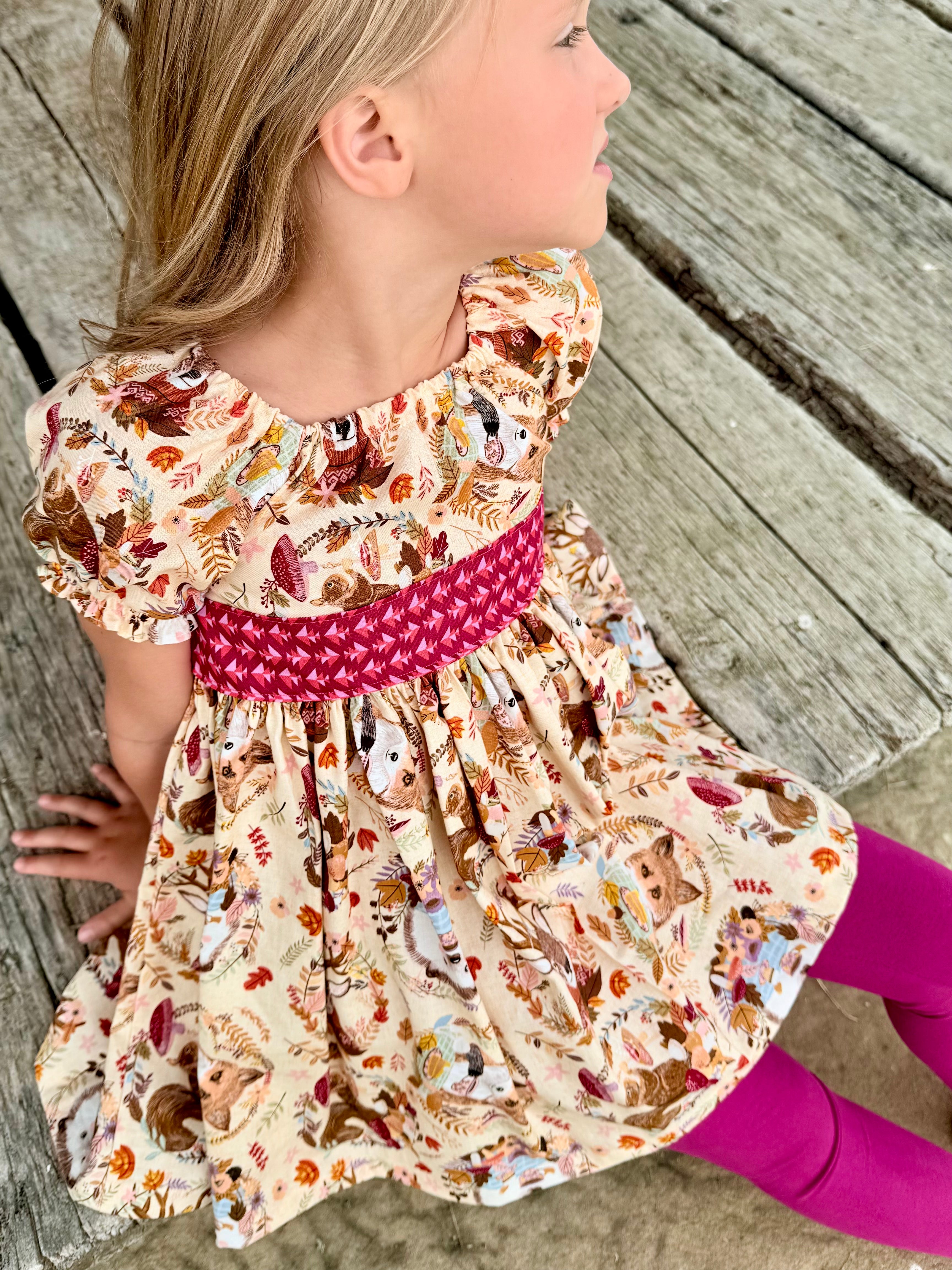 Hedgehog and Friends Peasant Dress