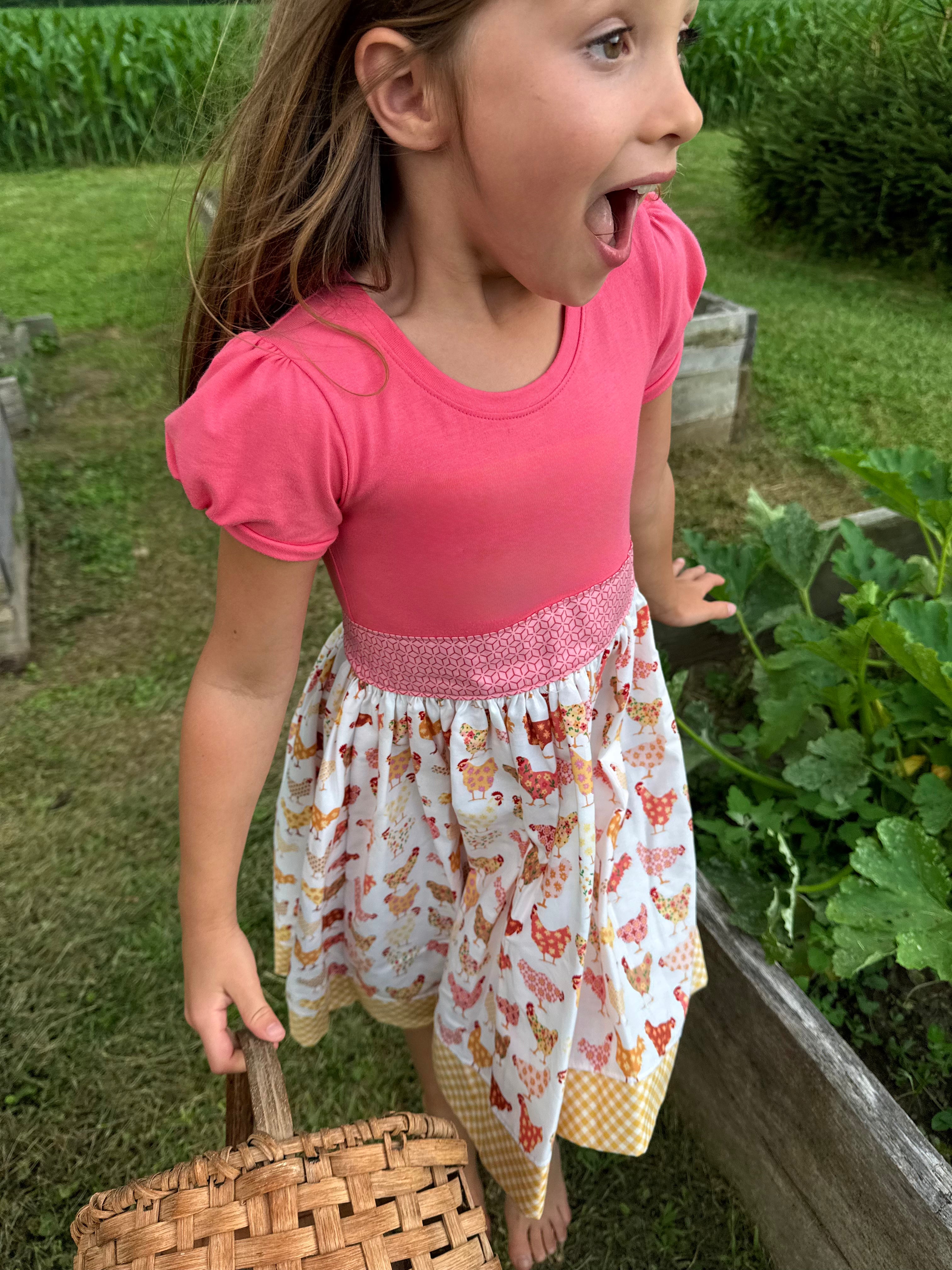 Chicks in the Coop Twirl dress (ships in 2 weeks)