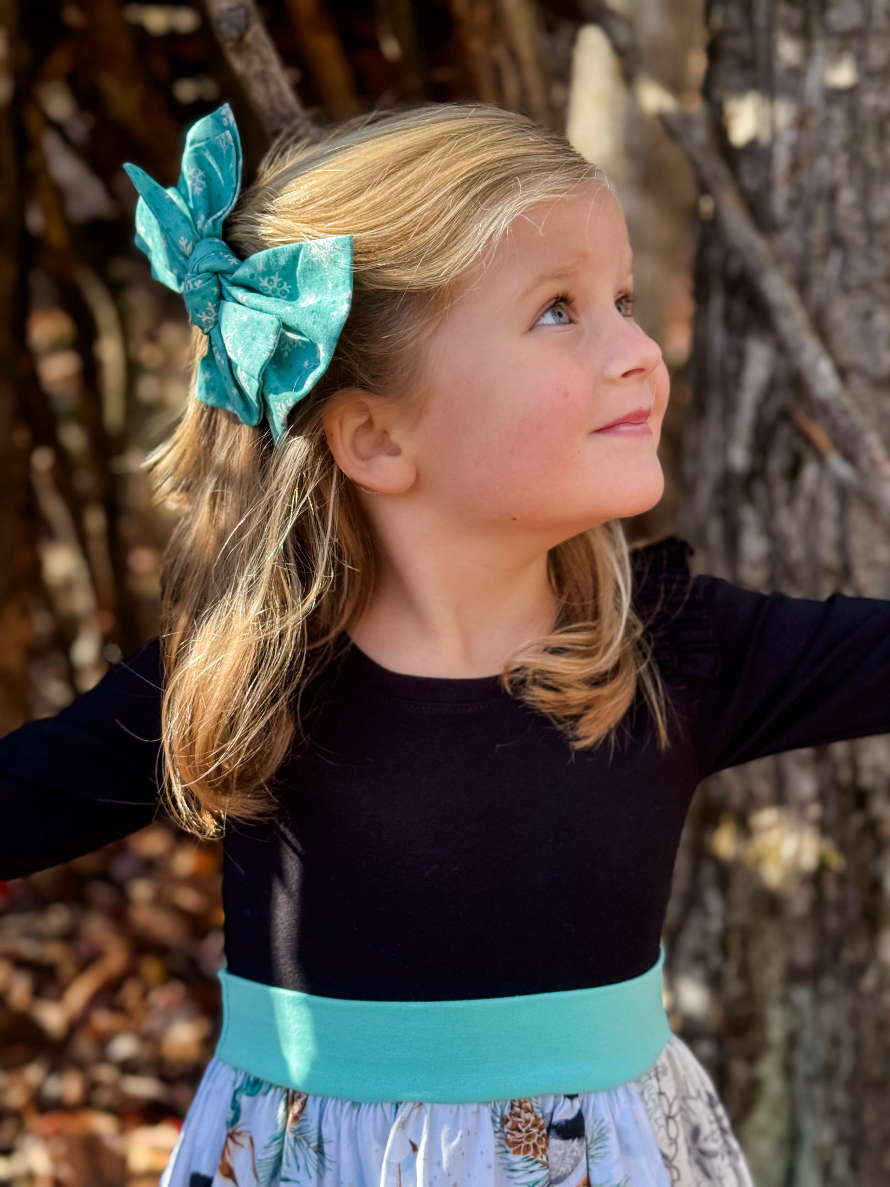 Chicadees-Dee-Dee Ava dress (ships in 2 weeks)