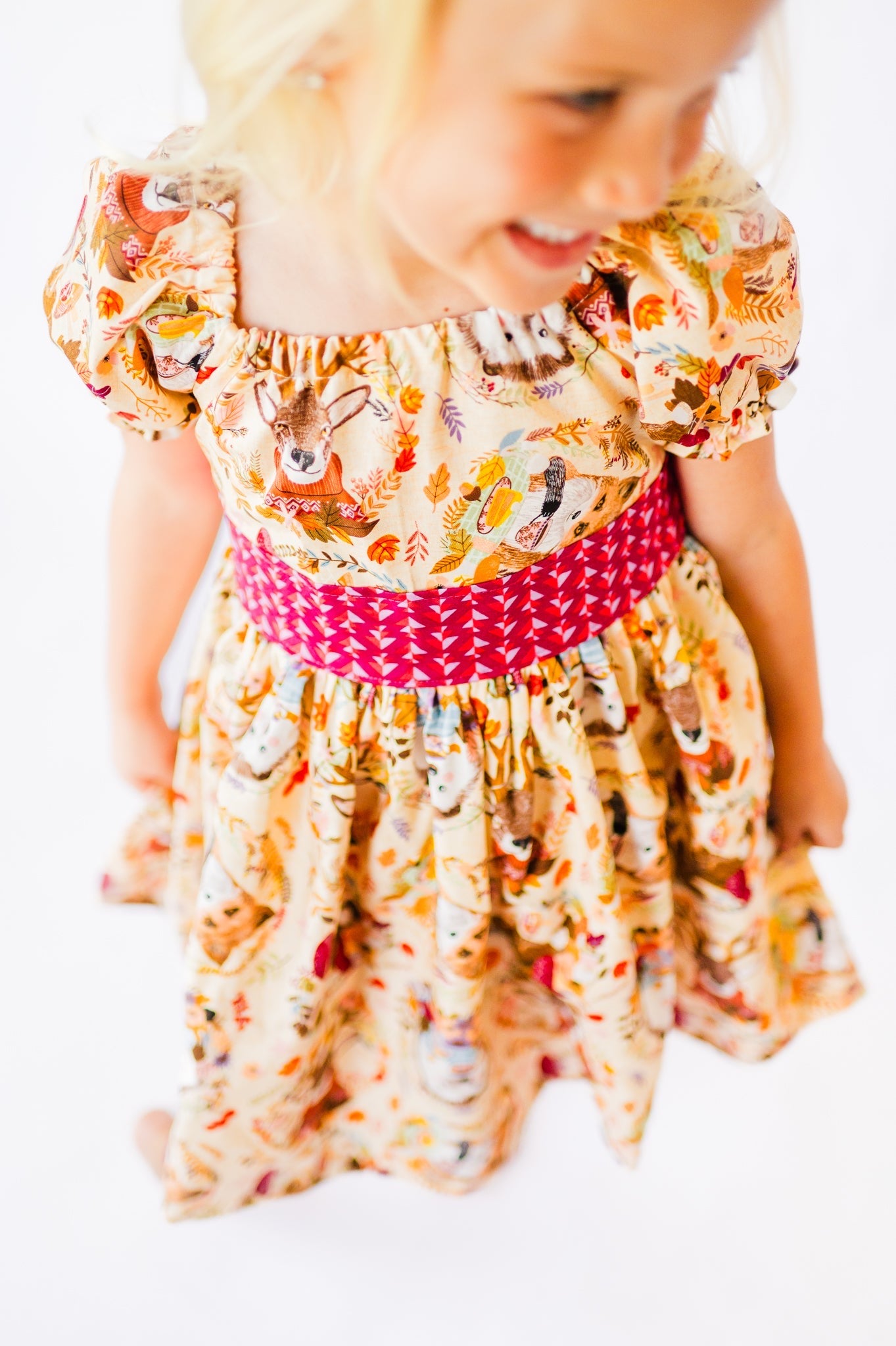Hedgehog and Friends Peasant Dress