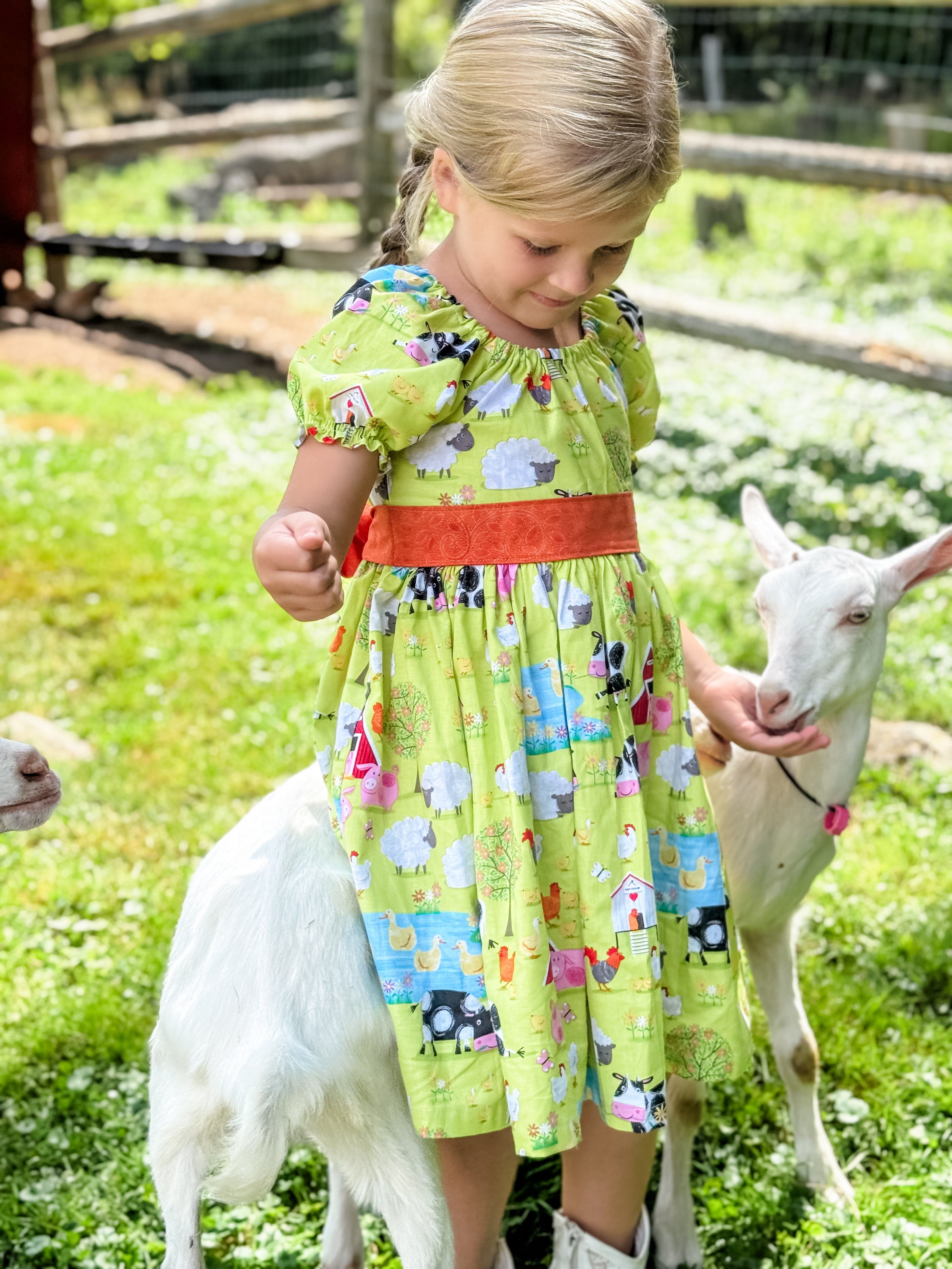 Farm Living Puff Sleeved Twirl dress (ships in 2 weeks)