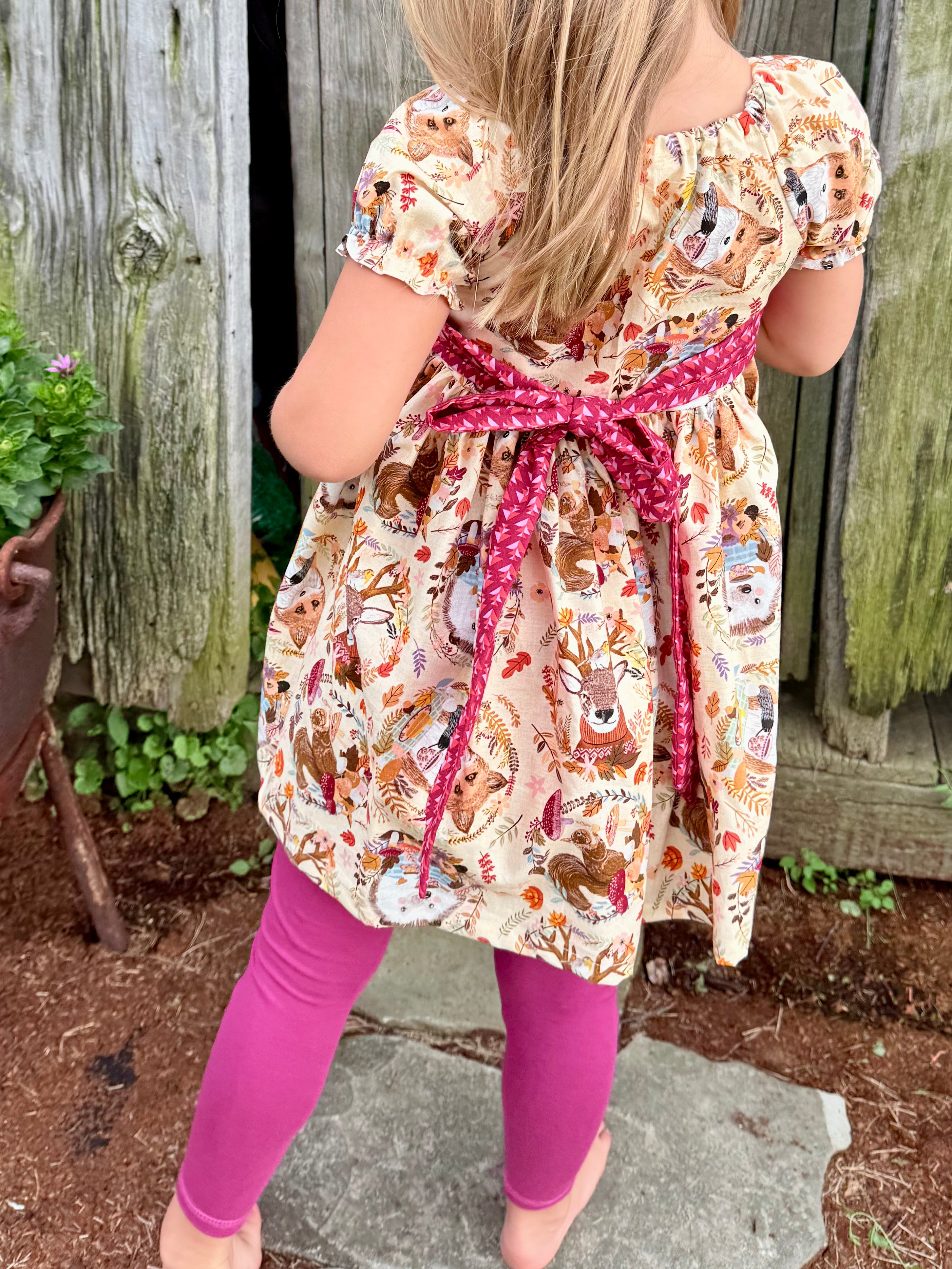 Hedgehog and Friends Peasant Dress
