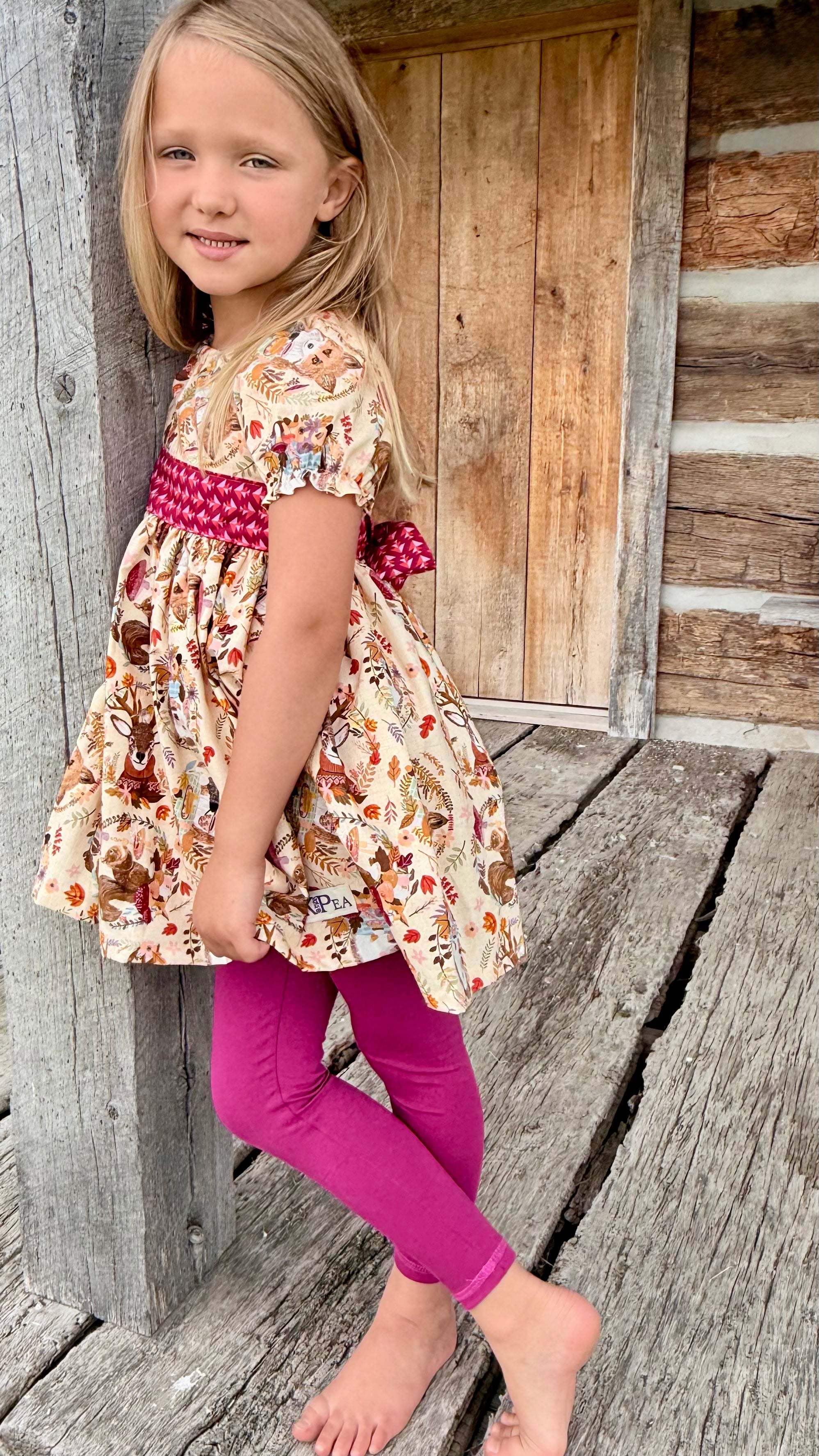 Hedgehog and Friends Peasant Dress
