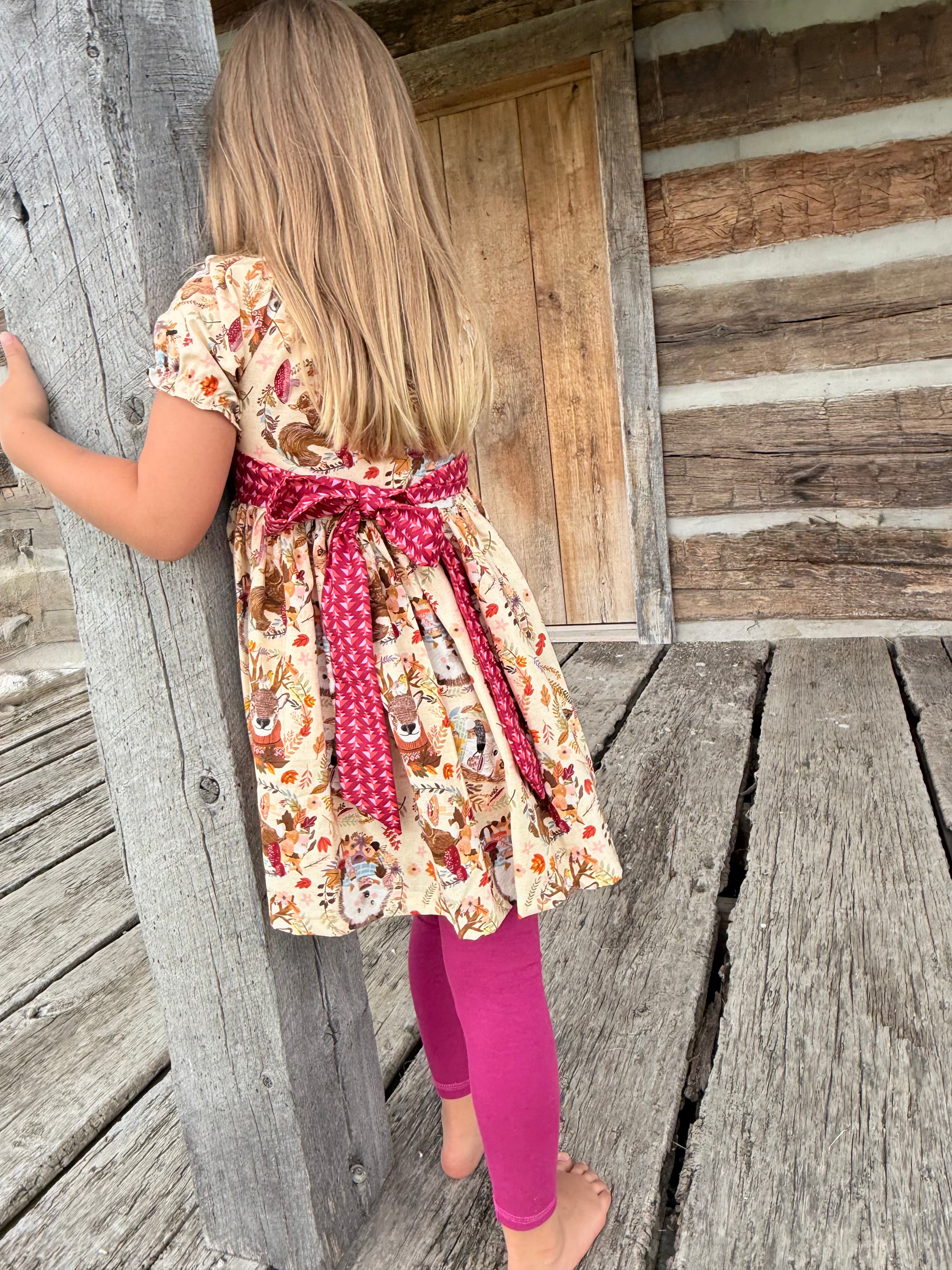 Hedgehog and Friends Peasant Dress