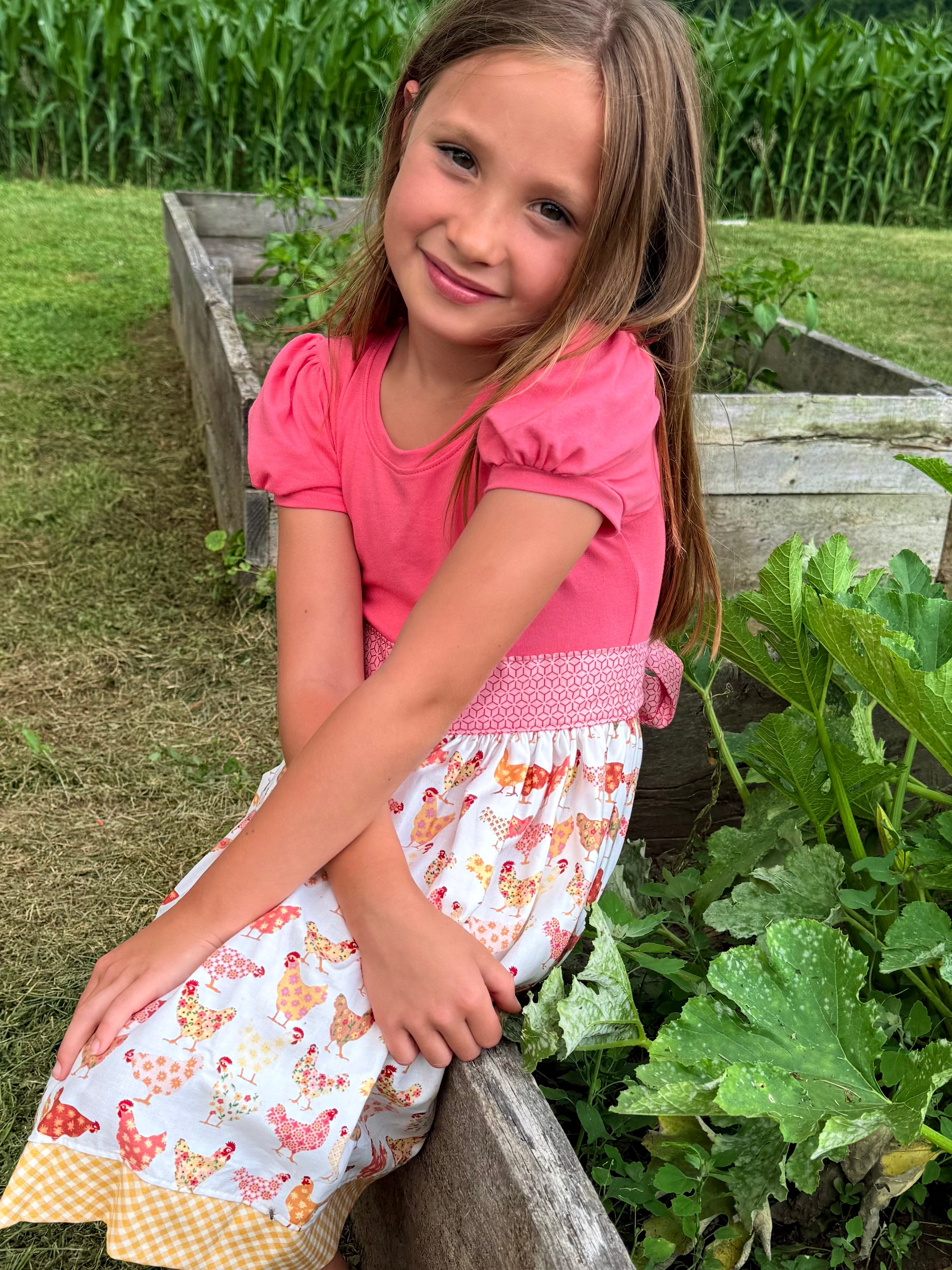 Chicks in the Coop Twirl dress (ships in 2 weeks)