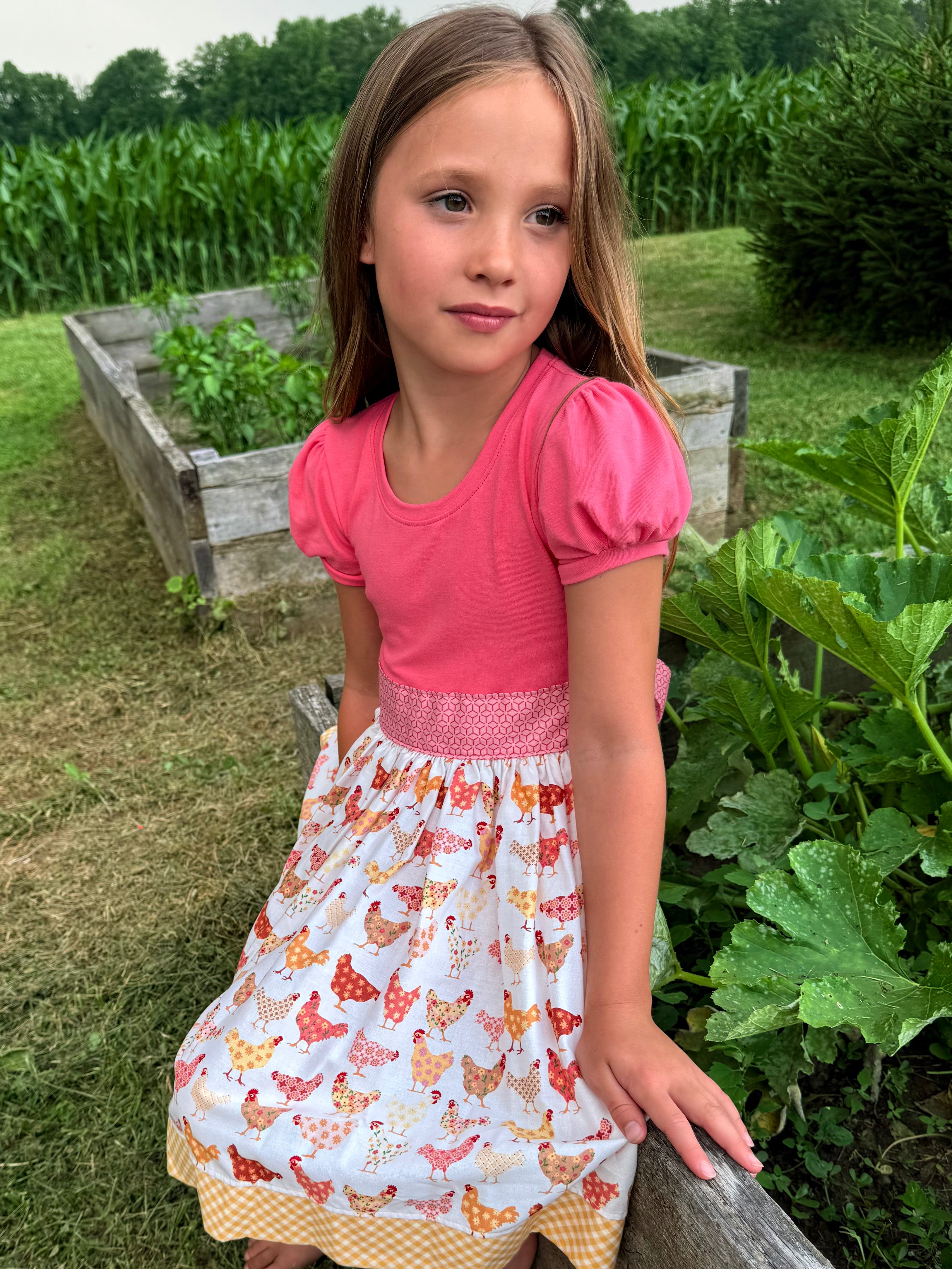 Chicks in the Coop Twirl dress (ships in 2 weeks)