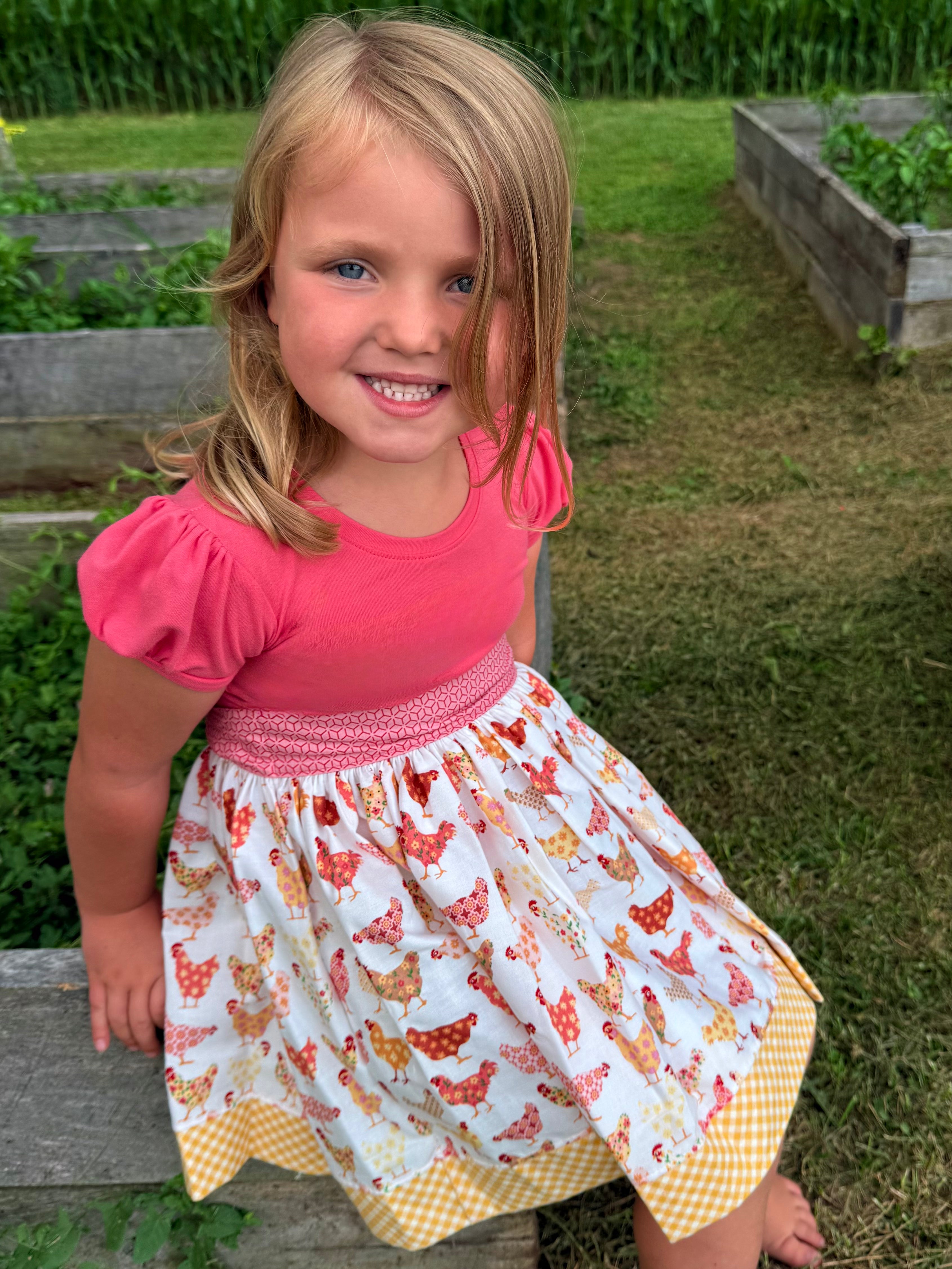 Chicks in the Coop Twirl dress (ships in 2 weeks)