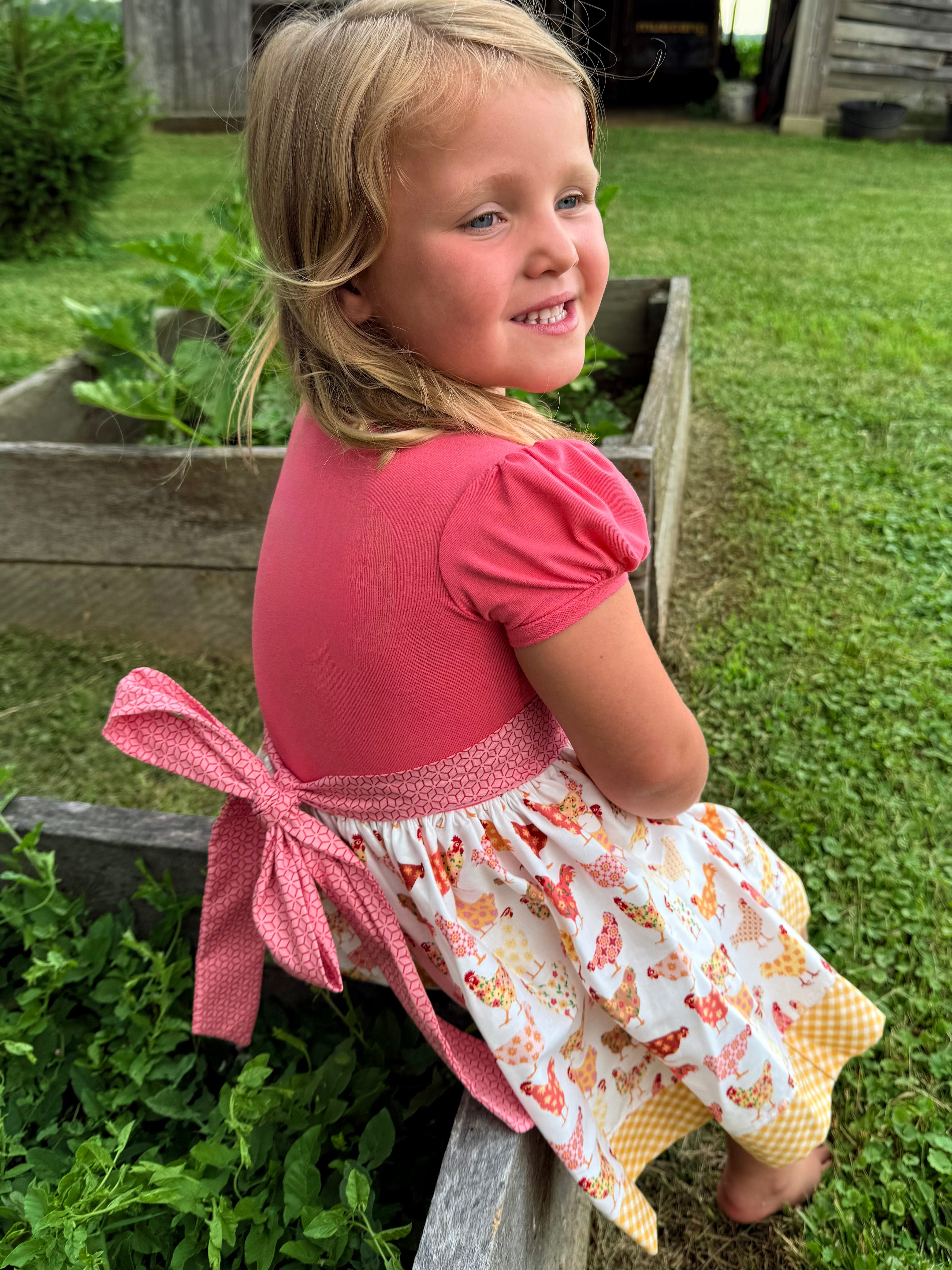 Chicks in the Coop Twirl dress (ships in 2 weeks)
