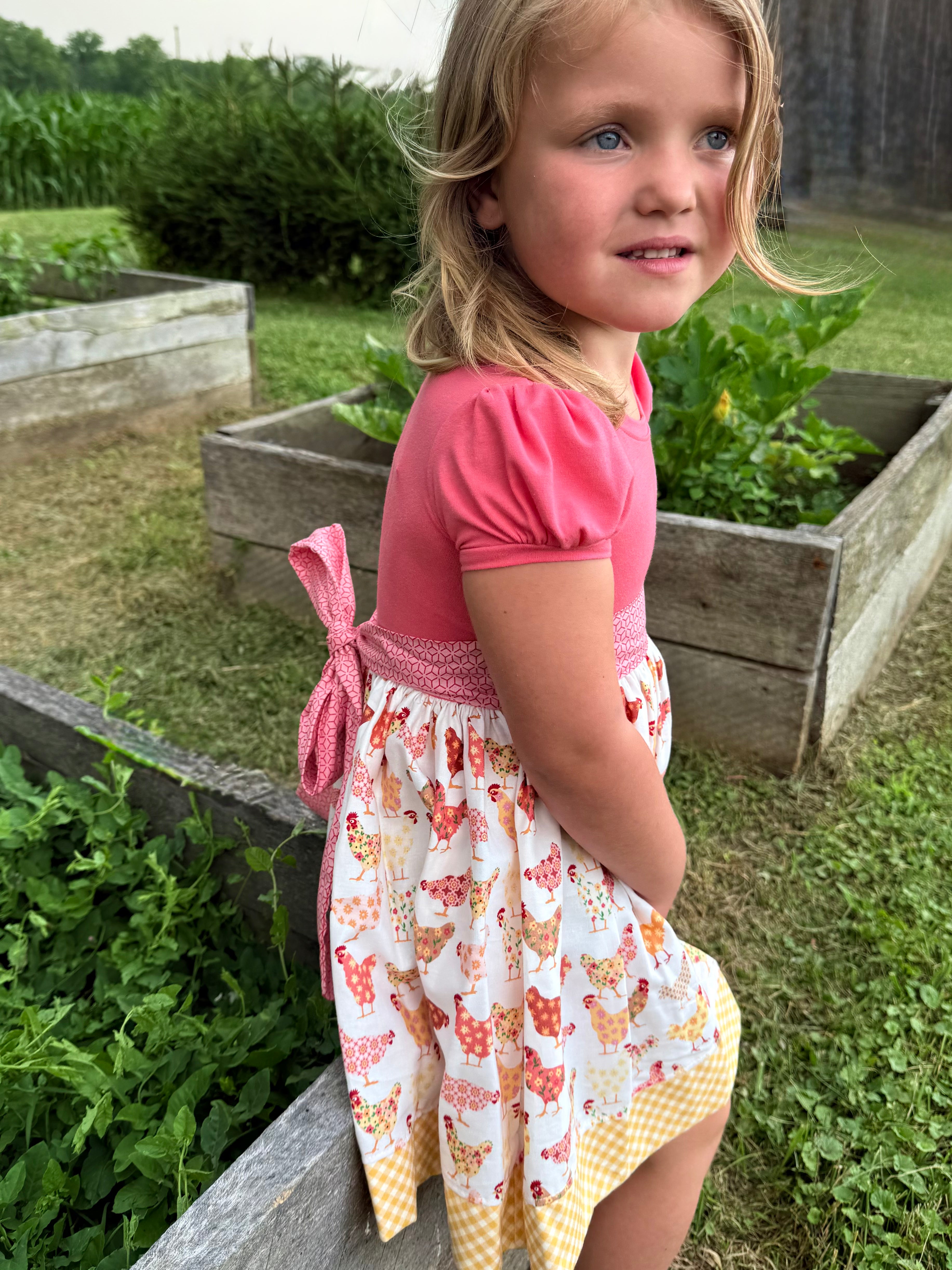 Chicks in the Coop Twirl dress (ships in 2 weeks)