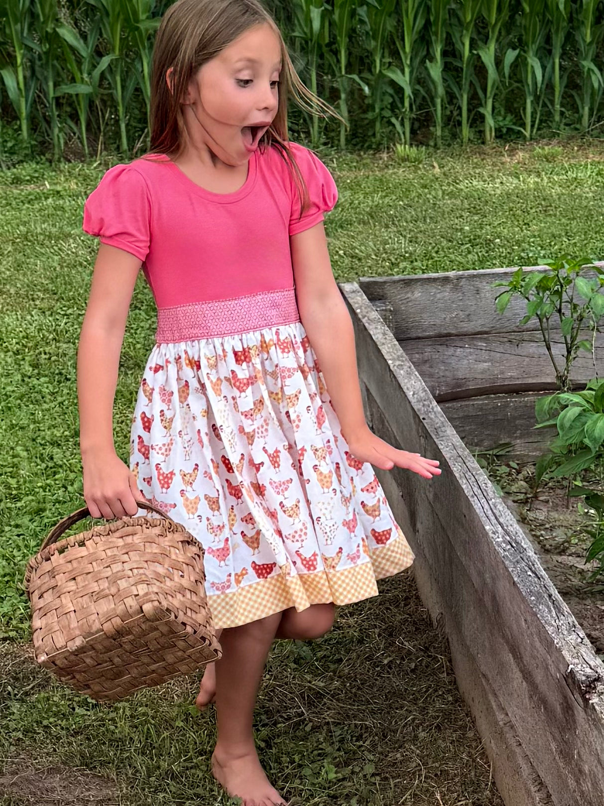 Chicks in the Coop Twirl dress (ships in 2 weeks)