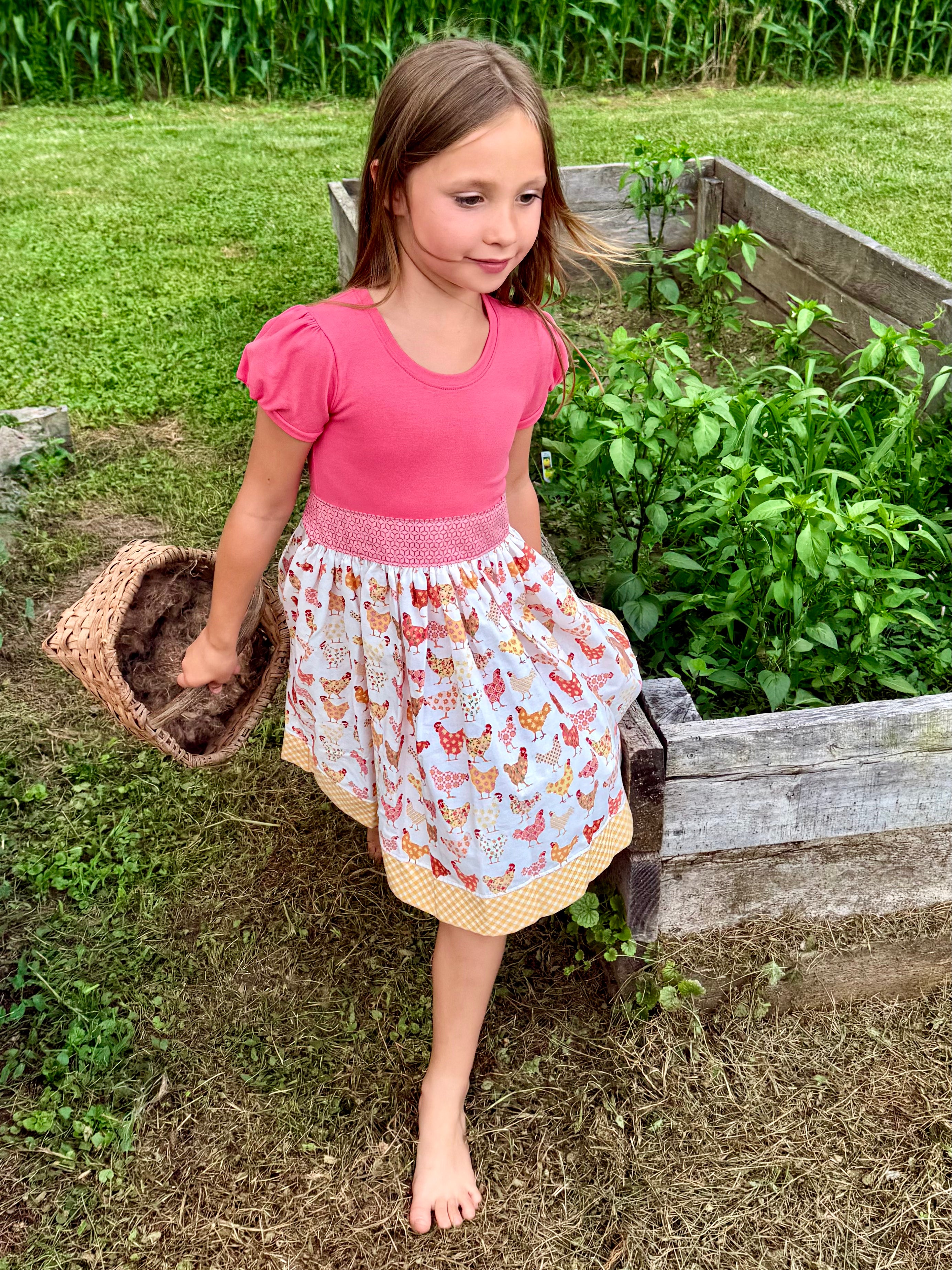 Chicks in the Coop Twirl dress (ships in 2 weeks)