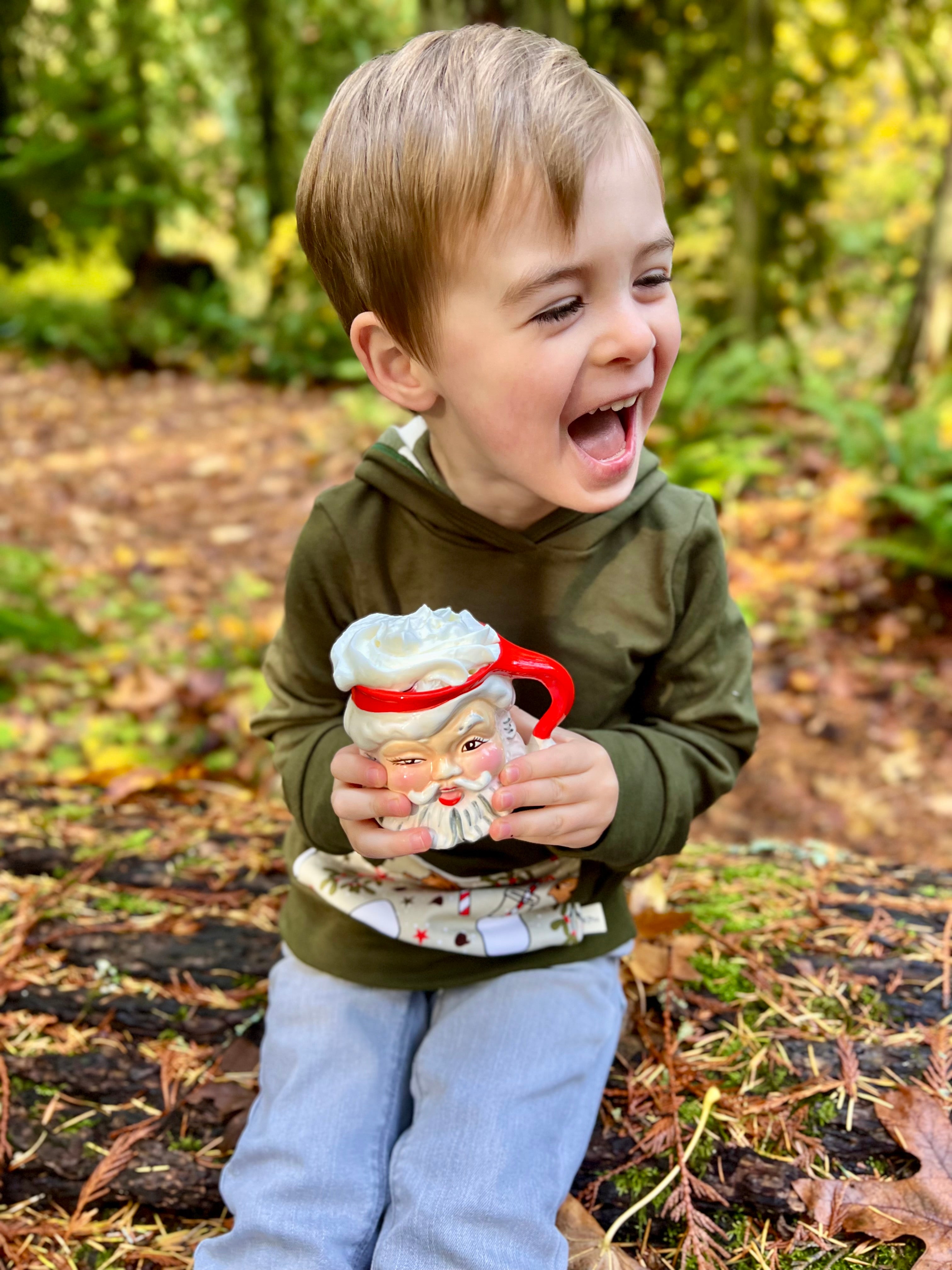 Elf Snacks Hoodie (ships in 2 weeks)