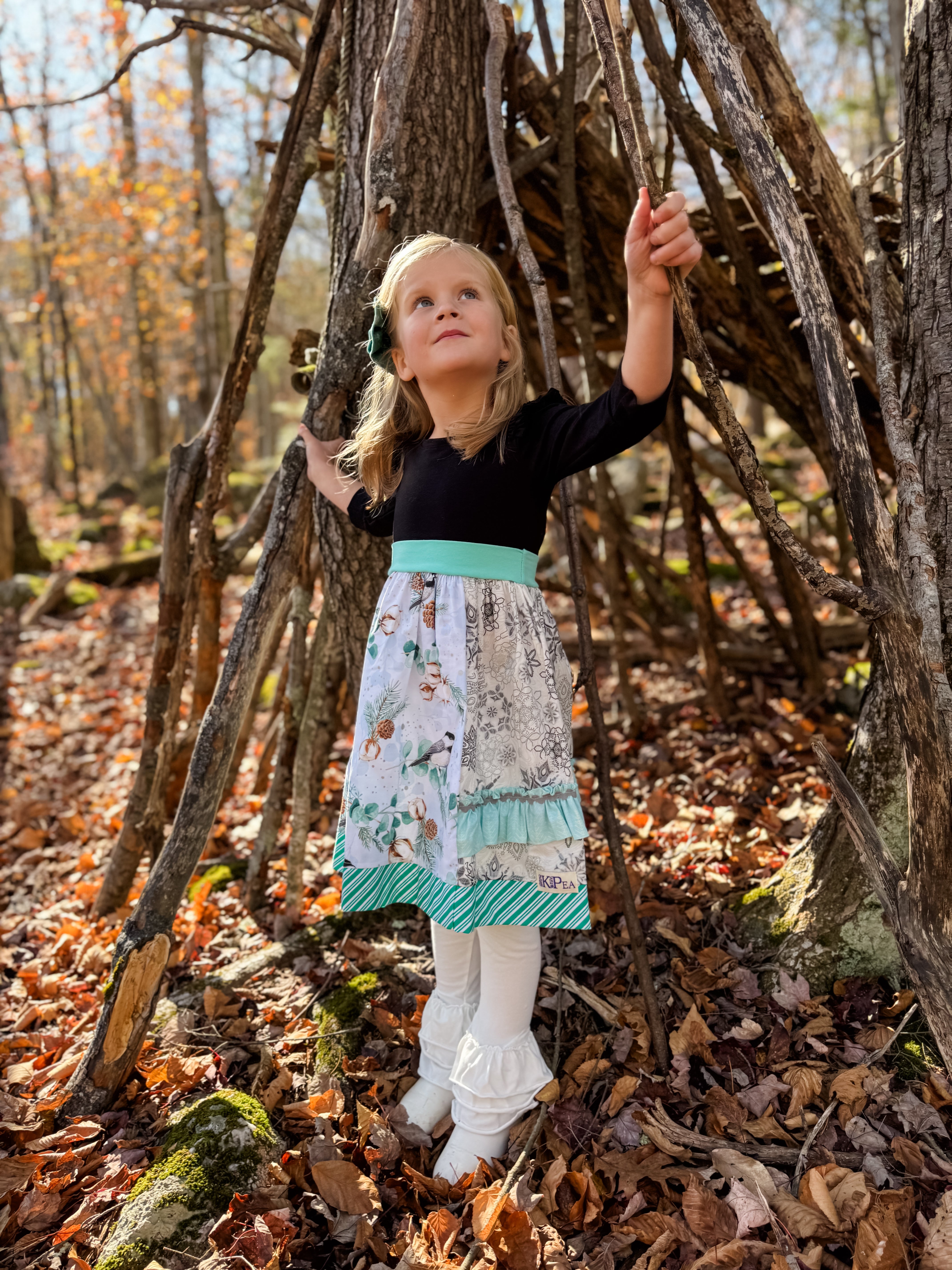 Chicadees-Dee-Dee Ava dress (ships in 2 weeks)